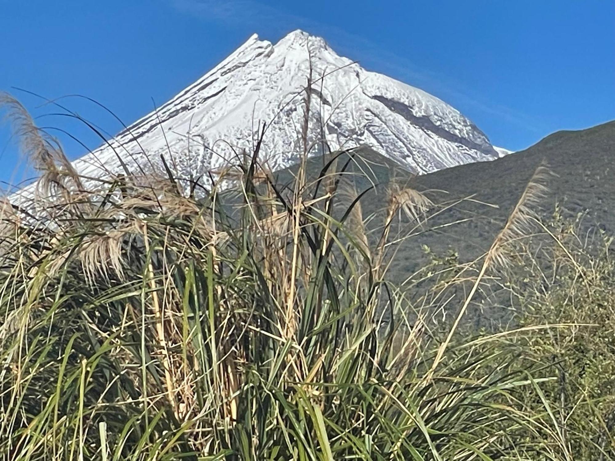 Bed and Breakfast Mangorei Heights - New Plymouth Exterior foto